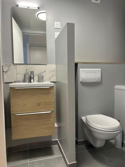 New Cosy House 15 Min Paris Roissy Cdg & 6 Min Parc Asterix I Villepinte Vemars Dış mekan fotoğraf